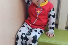 Zdjecie-WhatsApp-2024-02-13-o-13.24.08_a6d54fe6