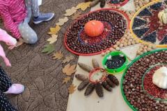 IMG_20211021_095017