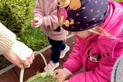 image00034