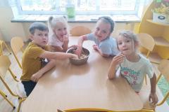 IMG_20240606_093932