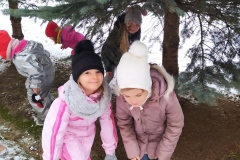 IMG_20211214_105850
