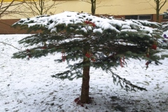 IMG_20211214_110127