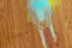 image00025