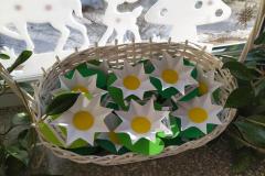IMG_20220119_103527