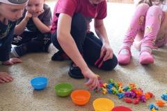 IMG_20240226_130412