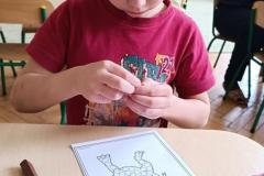 IMG_20240226_131131