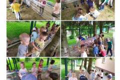 IMG-20220601-WA0054