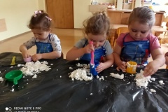 IMG_20210601_095405