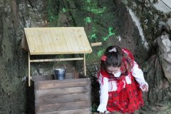 IMG_0466