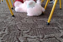 IMG_20221125_091445