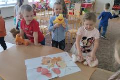 IMG_20221125_092301