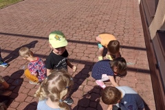 IMG_20240524_094907