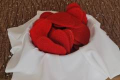 IMG-20211214-WA0041
