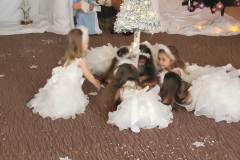 IMG-20211214-WA0071