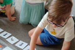 IMG_20260619_090753_Burst01