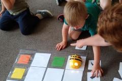 IMG_20260619_091321