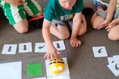 IMG_20260619_091458