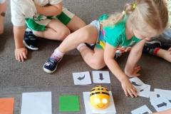 IMG_20260619_091642