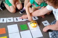 IMG_20260619_091832