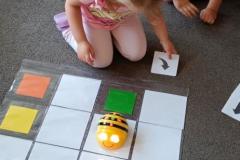 IMG_20260619_092354