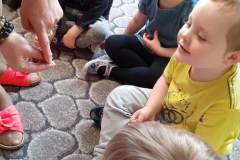 IMG-20210519-WA0050
