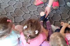 IMG-20210519-WA0054