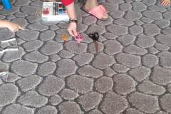 IMG-20210519-WA0055