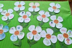 IMG_20231116_104932