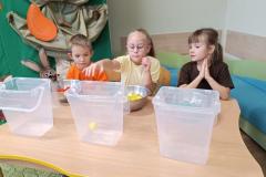 IMG_20231025_093723
