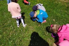 IMG_20220518_104310-Copy