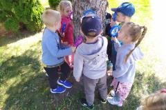 IMG_20220518_104421-Copy