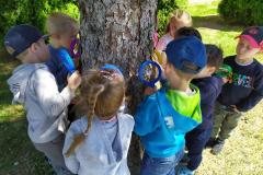 IMG_20220518_104427-Copy