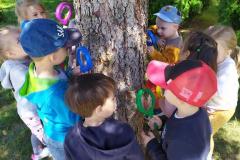 IMG_20220518_104436-Copy