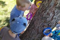 IMG_20220518_104455-Copy