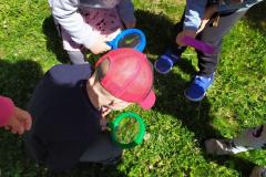 IMG_20220518_104624-Copy