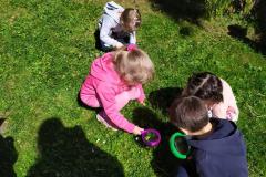 IMG_20220518_104639-Copy