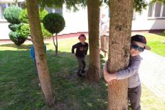 IMG_20220518_111348-Copy