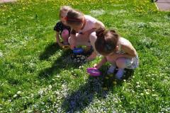 IMG_20210512_103642