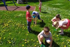 IMG_20210512_103930