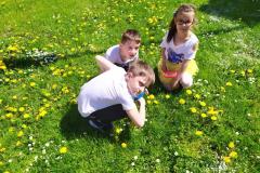 IMG_20210512_104445