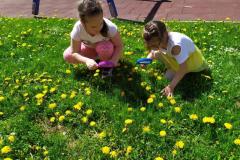 IMG_20210512_104651