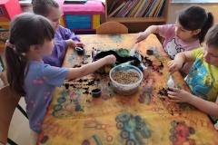 IMG_20260325_095152_1