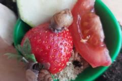 20220427_093426