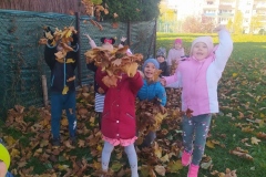 IMG_20211022_104124