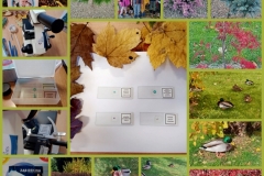 CollageMaker_20211119_153433146