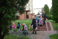 DSCF0062