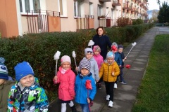 IMG_20191108_100812