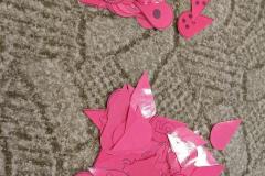 IMG_20240214_085543