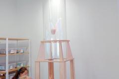 IMG_20240527_123818