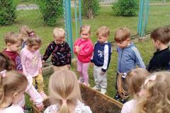 IMG_20260515_103058